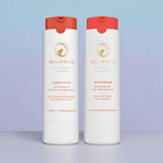 AM-PM Duo Bundle HoliFrog 